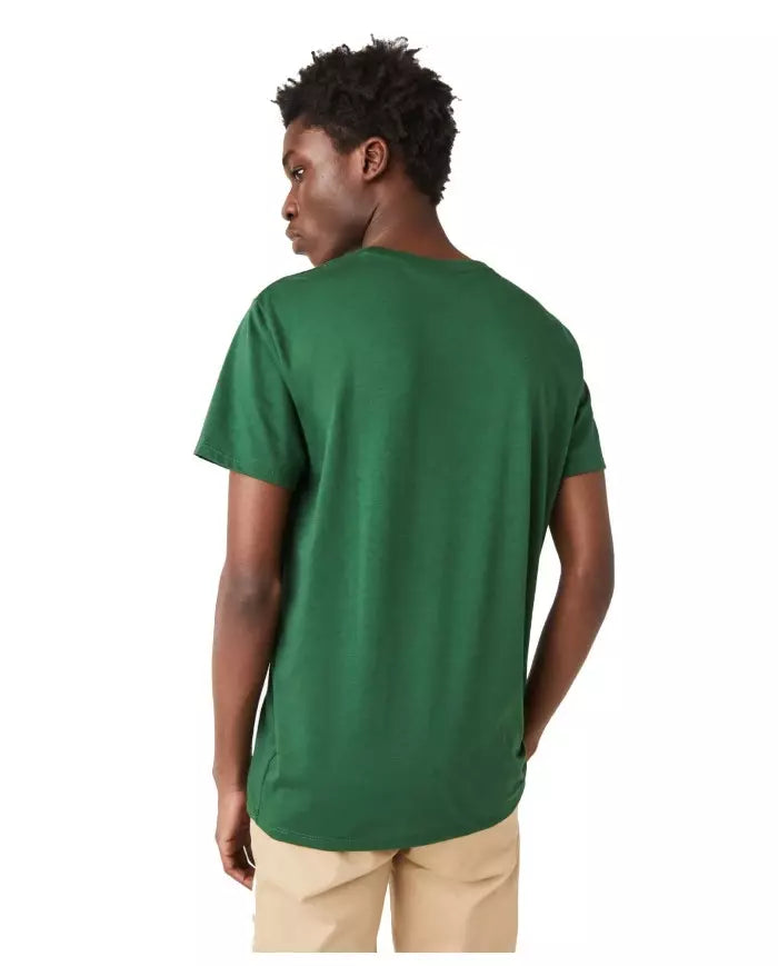 T SHIRT - LACOSTE