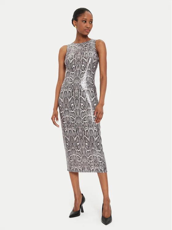 Tubino Rinascimento Vestito Argento VESTITO TUBINO RINASCIMENTO