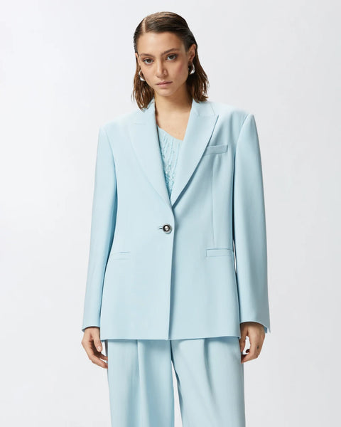 ジャケット PINKO SS25 FARAONA GIACCA CADY TECNICO (104883 A213E28) GIACCA A213 FARAONA - PINKO – Gruppo Collu Abbigliamento