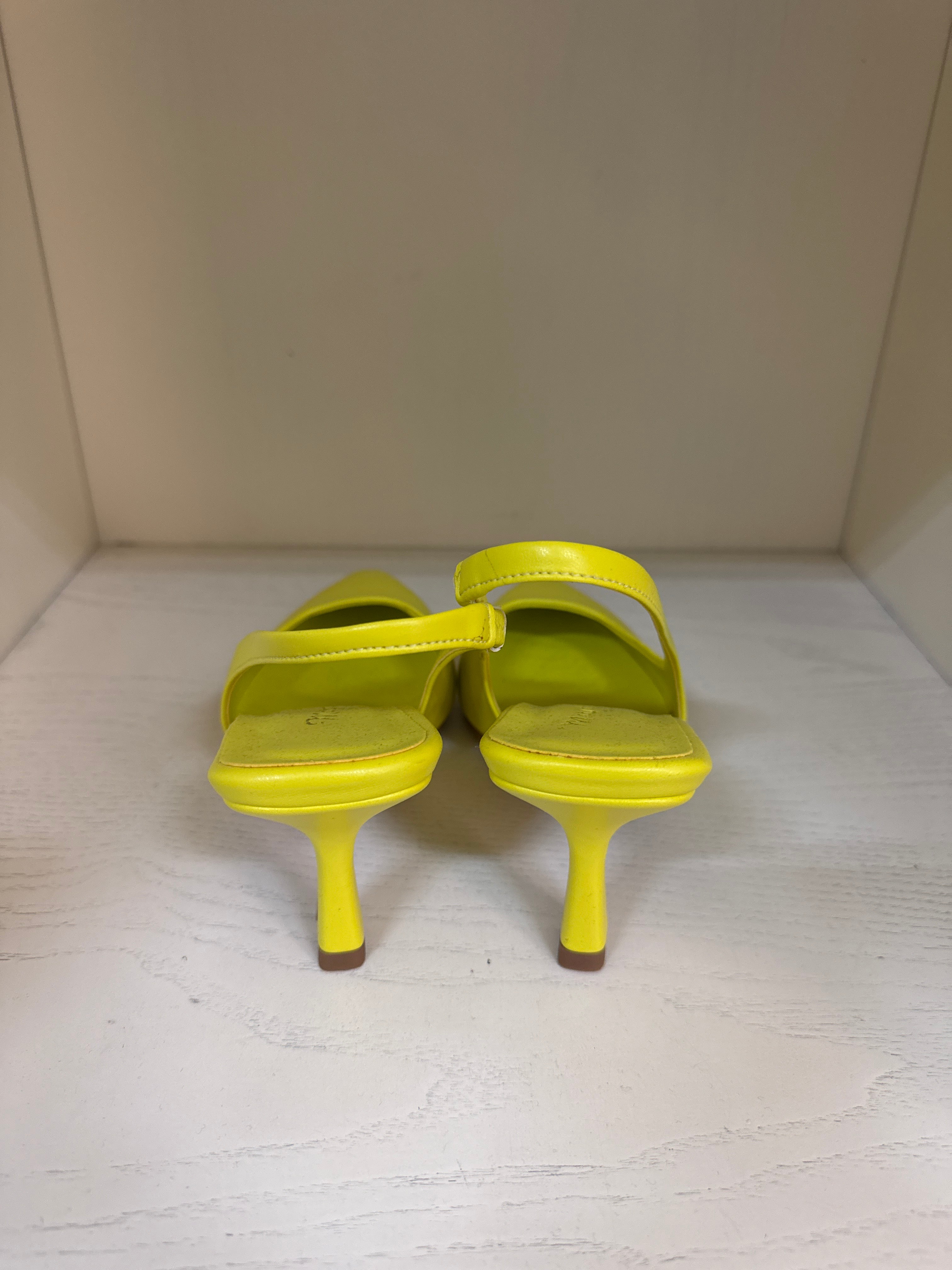 SCARPA - MARGOT LOI