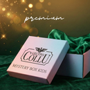 Mystery Box Kids Plus