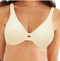 REGGISENO C/FERRETTO AM00904 COP D JH7 Lovable 
