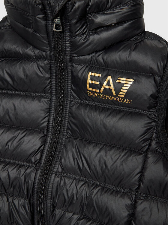 Gilet EA7