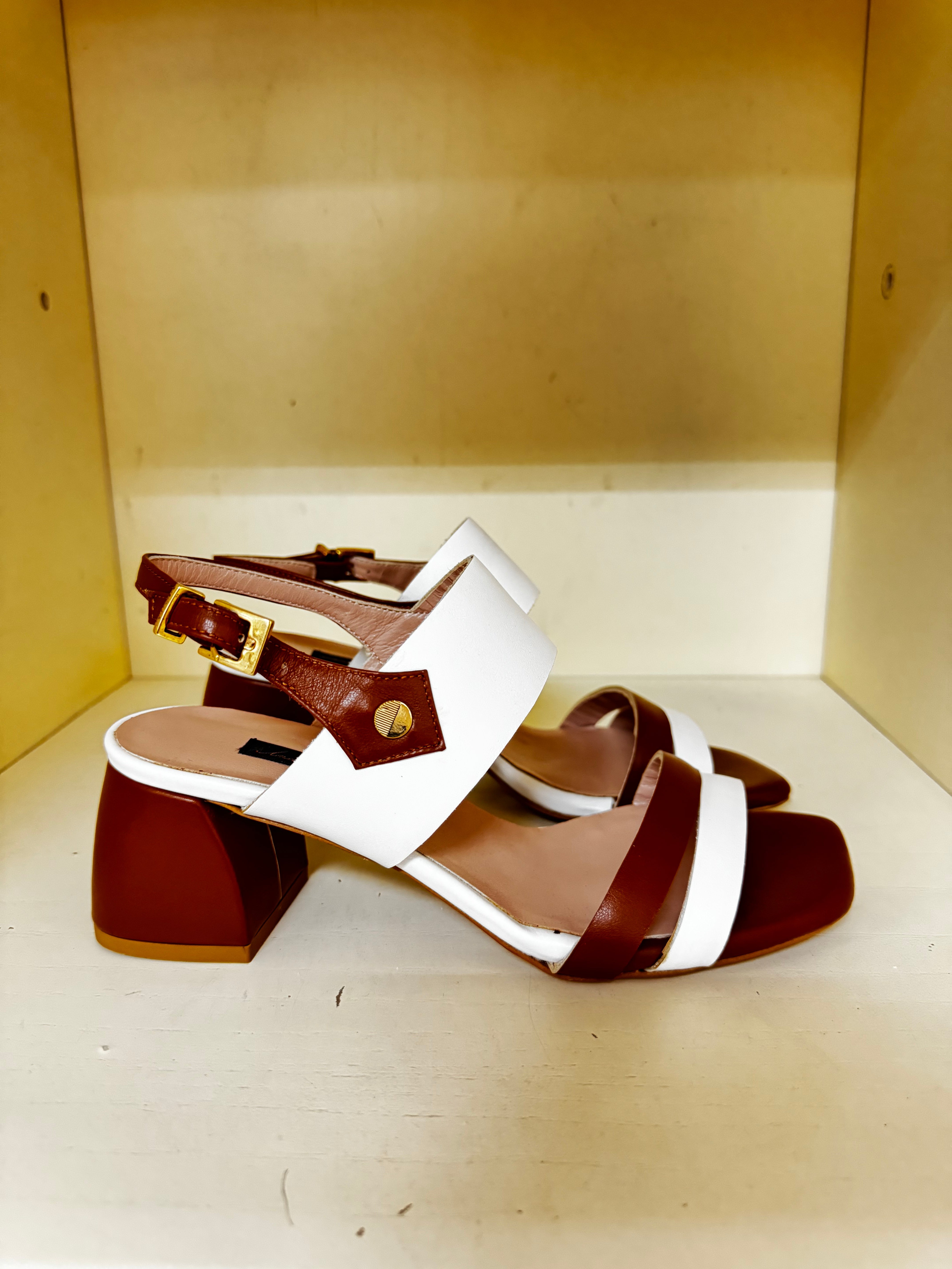 Scarpa Andrea Pinto