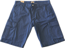 BERMUDA - CONSENSO 7731423 731 Consenso 