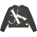 FELPA ML - CALVIN KLEIN IG0IG02482 PSM Calvin Klein 
