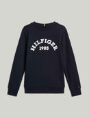 FELPA - TOMMY HILFIGER KB0KB09000 DW5 Tommy Hilfiger 