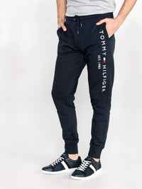 PANTALONE - TOMMY HILFIGER MW0MW08388 DW5 Tommy Hilfiger 