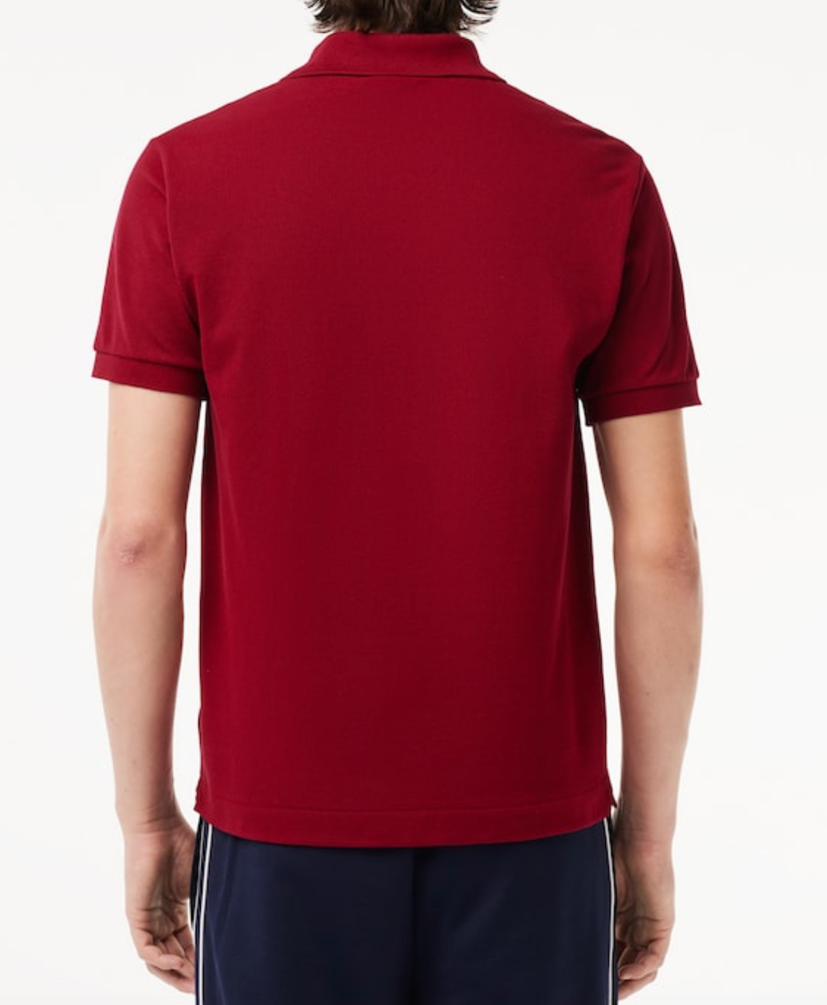POLO  - LACOSTE 1212 AFS Lacoste 