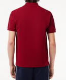 POLO  - LACOSTE 1212 031 Lacoste 
