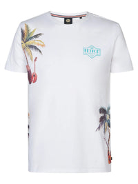 T SHIRT - PETROL M-1050-TSR673 0000 Petrol 
