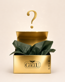 MYSTERY BOX