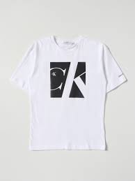 T-SHIRT MM - CALVIN KLEIN IB0IB01336 YAF Calvin Klein 