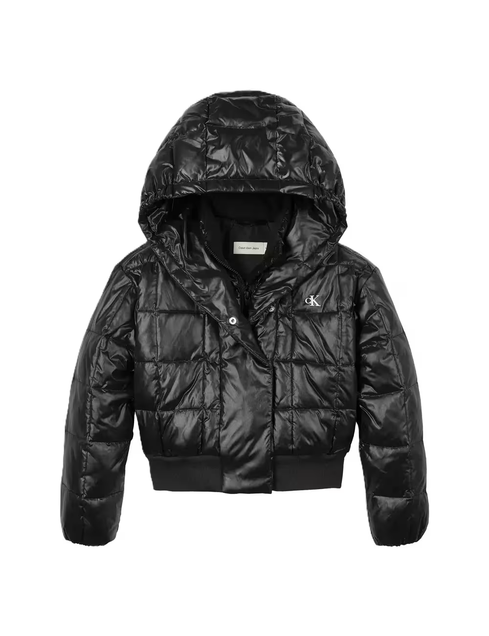 GIUBBINO - CALVIN KLEIN