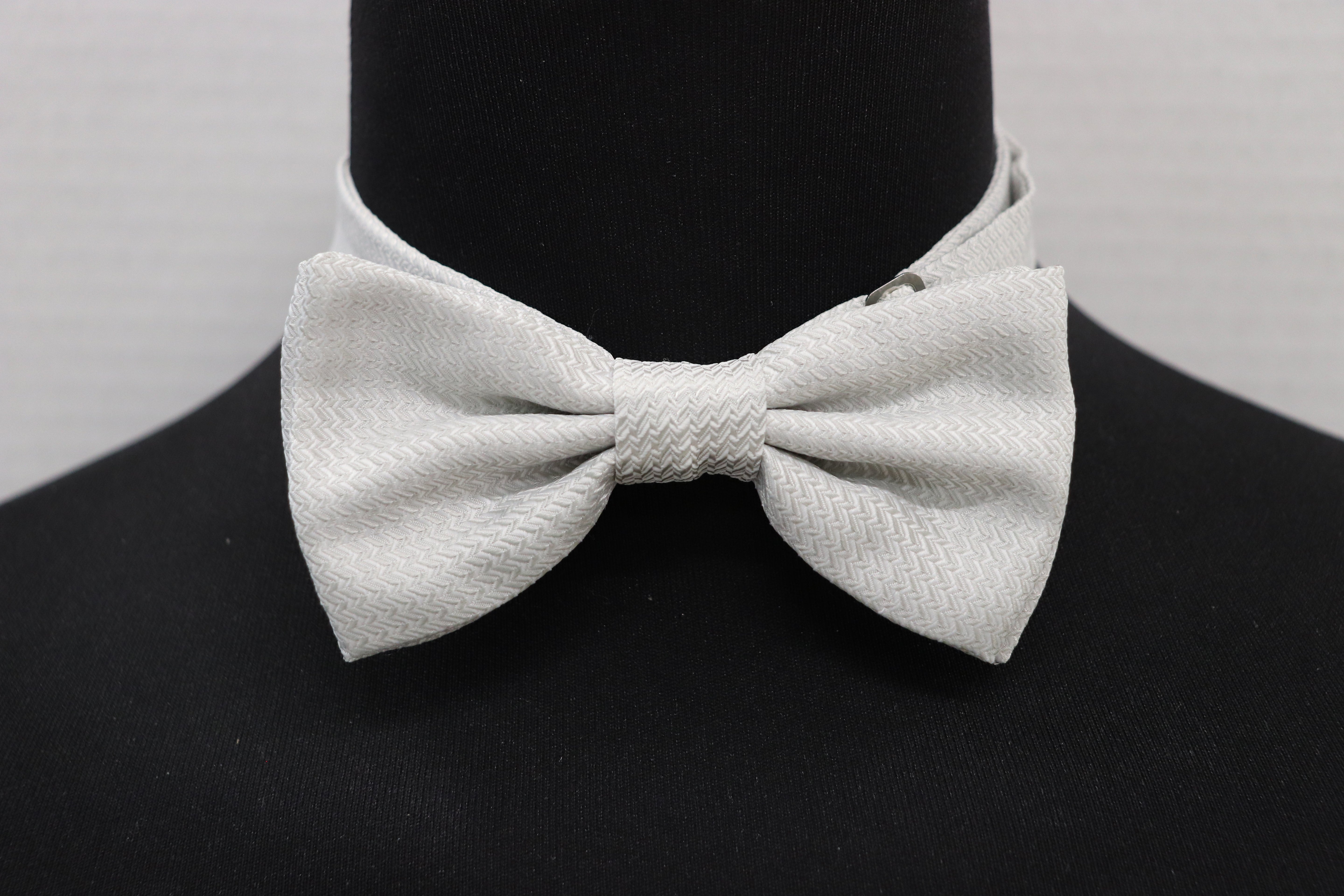 PAPILLON ROBERTO CLERICI – Gruppo Collu Abbigliamento