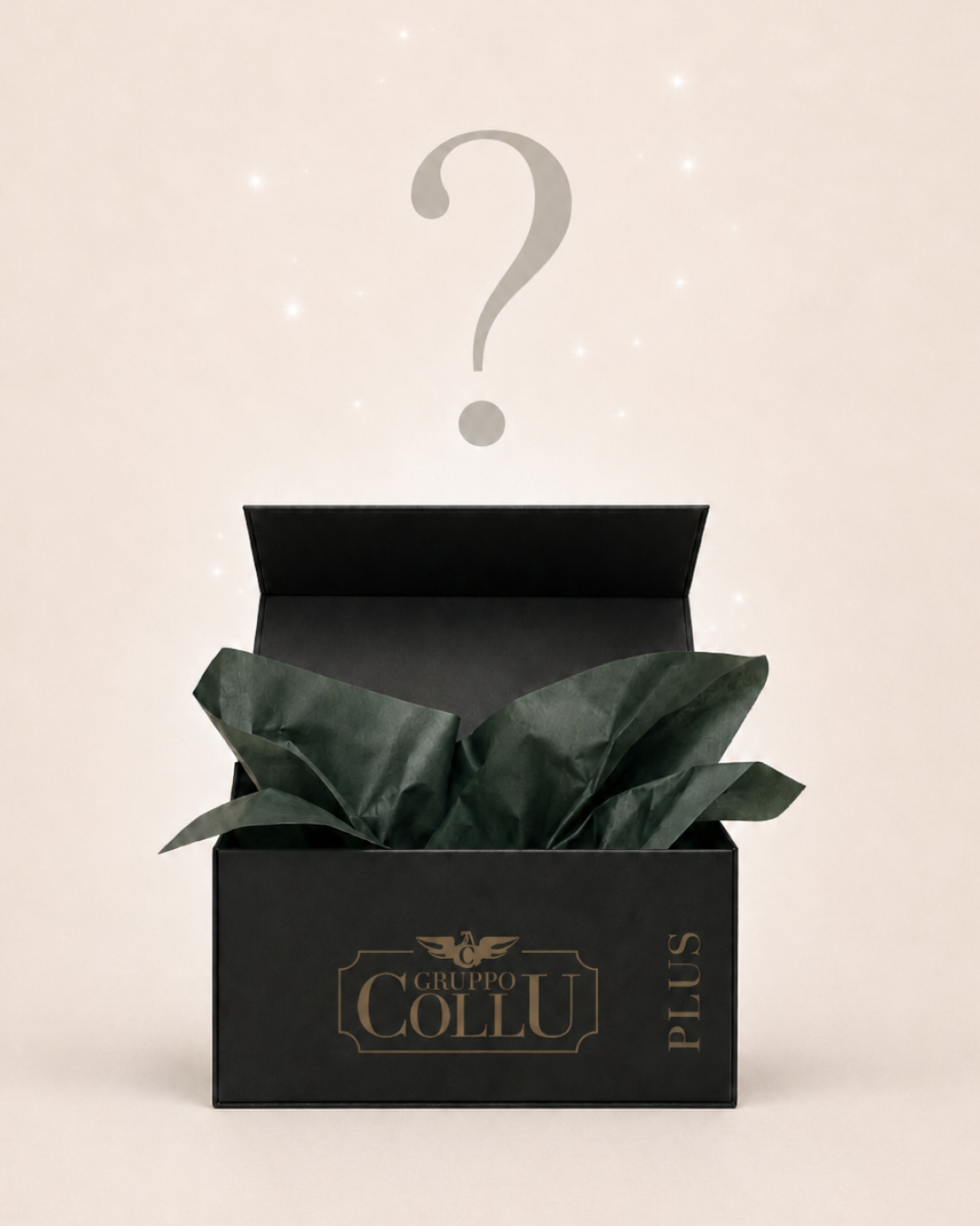 MYSTERY BOX