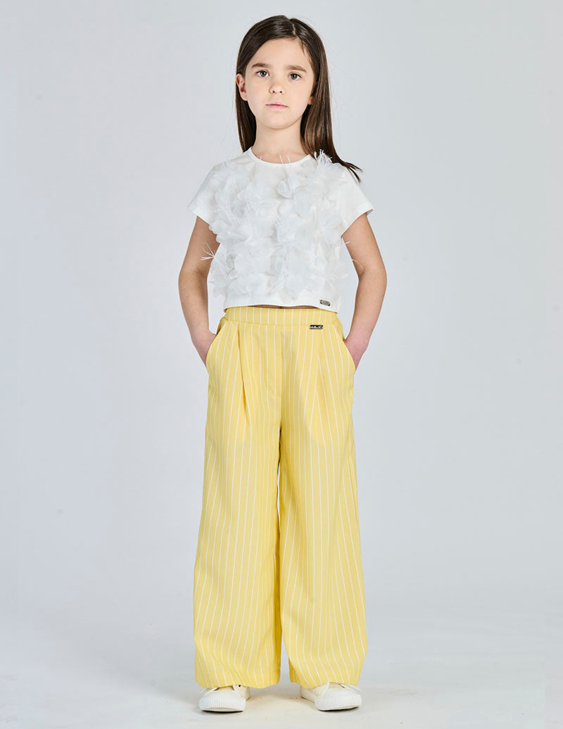 Top Alice Pi