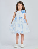  8208 13 Alice Pi 
