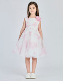  8208 43 Alice Pi 
