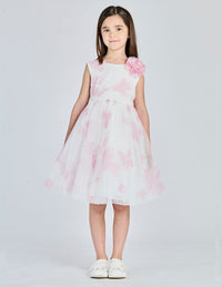  8208 43 Alice Pi 