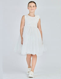  8209 102 Alice Pi 