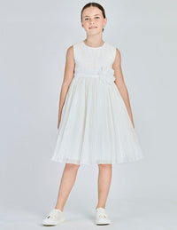  8224 102 Alice Pi 