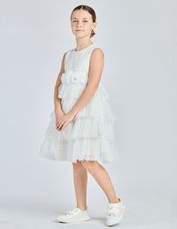  8228 102 Alice Pi 