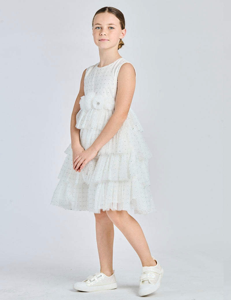  8228 102 Alice Pi 