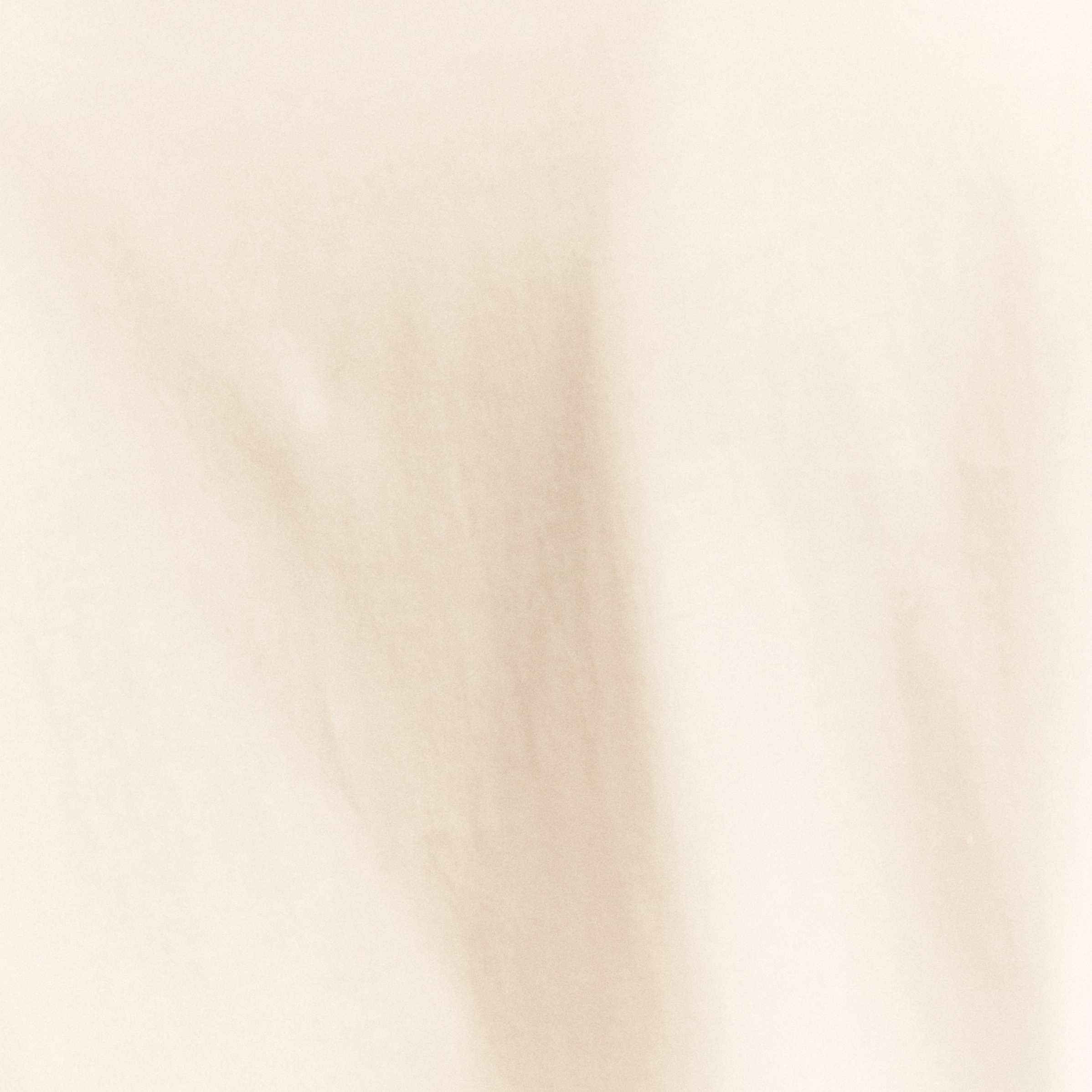  EMMCHIFFON 2615971032001 Emme Marella 