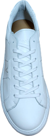  26104 VITELLO BIANCO Eveet 