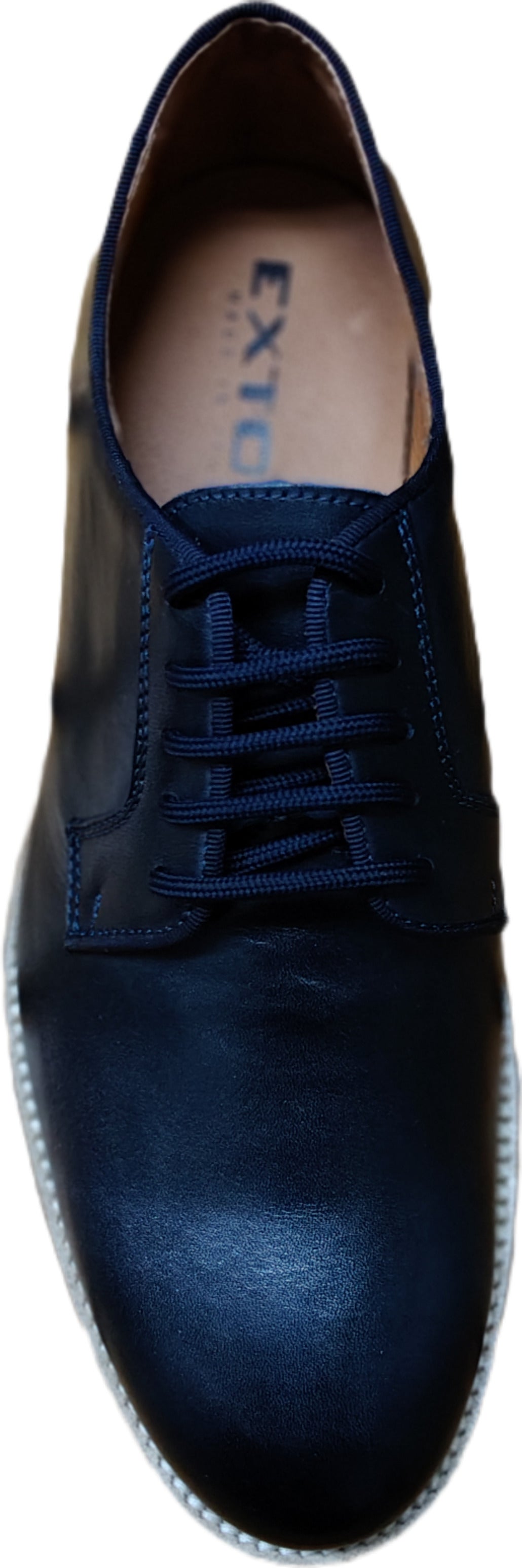  2193 VIENNA BLU Exton 