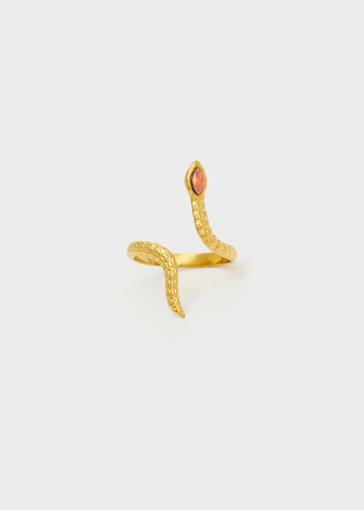 Anello Nalì