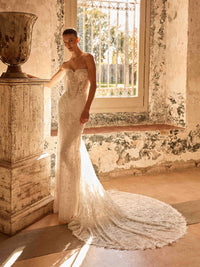 con copripalle e sopragonna HAJAY/BA2 PP127 665 Pronovias Privee 