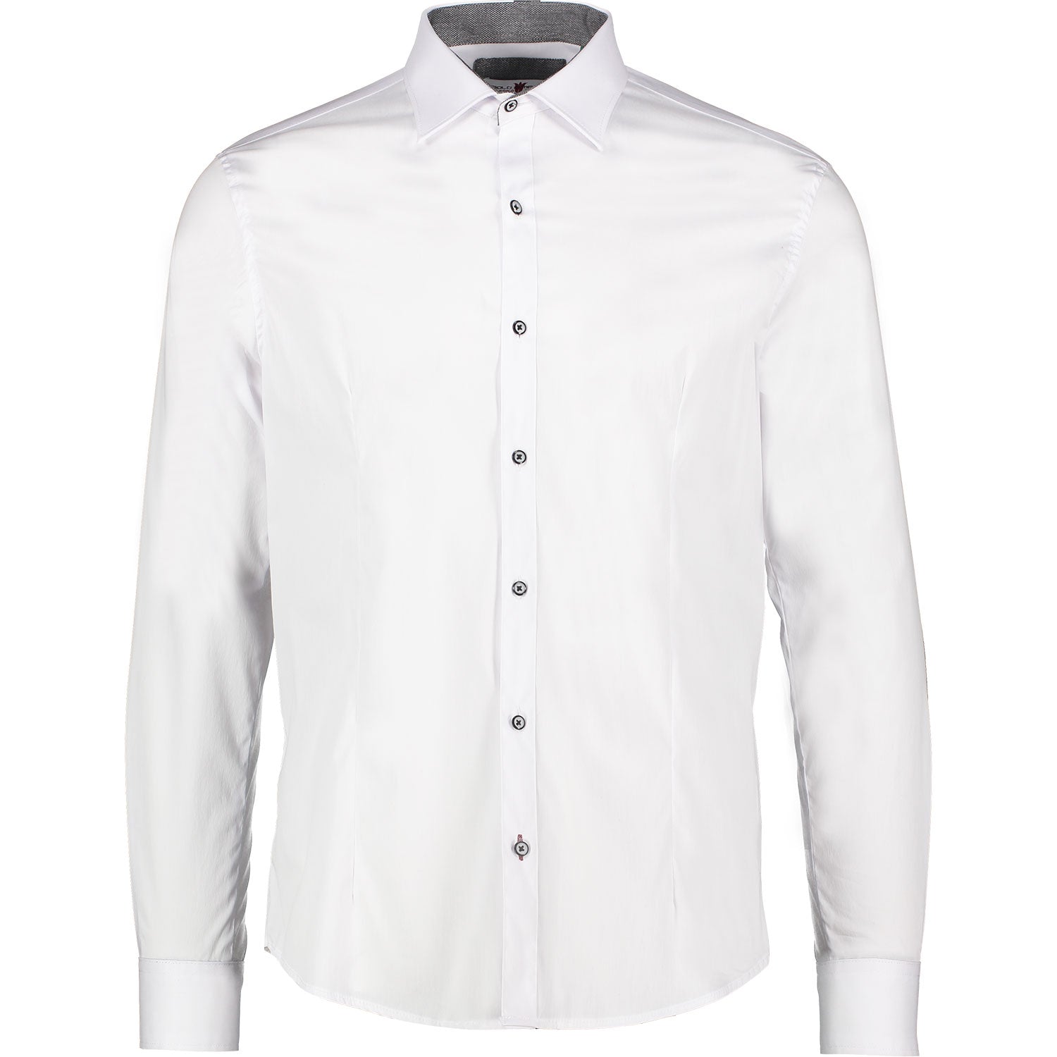 CAMICIA - PAOLO DI MATTEO 2724-2801 I25 05 Paolo di Matteo 
