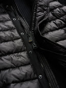  C02008-007615 LEVERETT 999 Blauer 