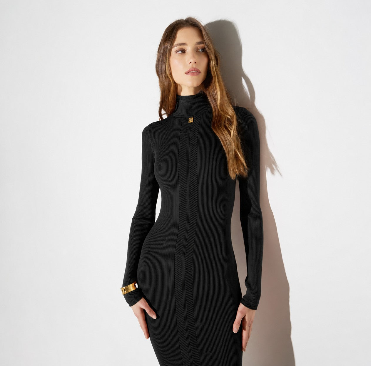manica lunga AM21B66E2 110 Elisabetta Franchi 