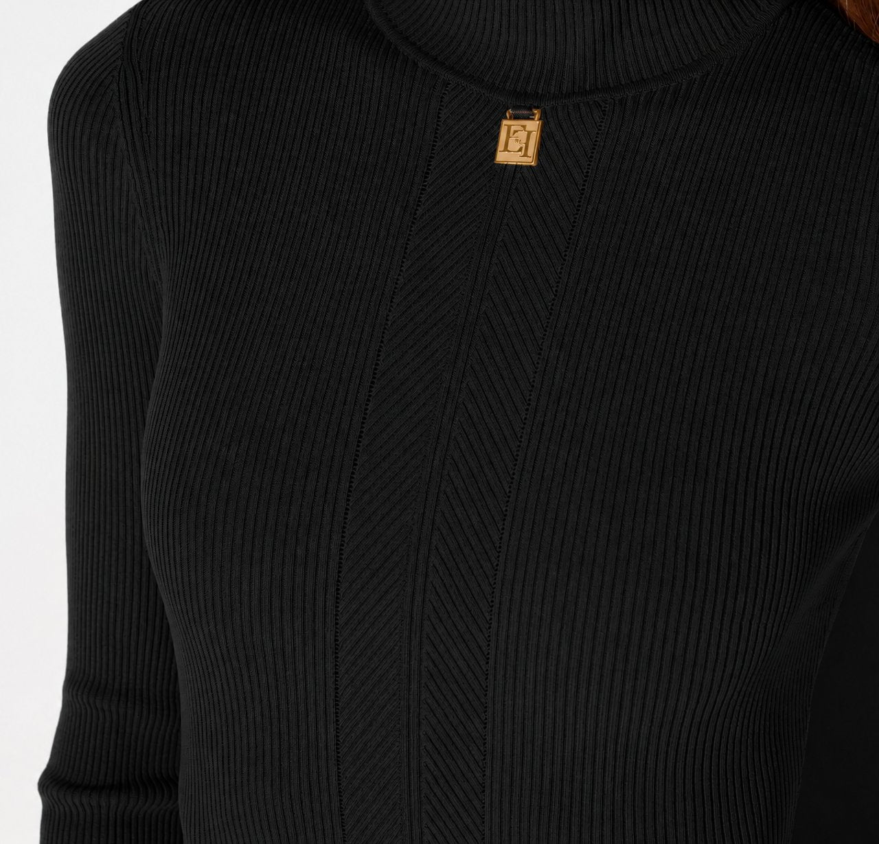 manica lunga AM21B66E2 110 Elisabetta Franchi 