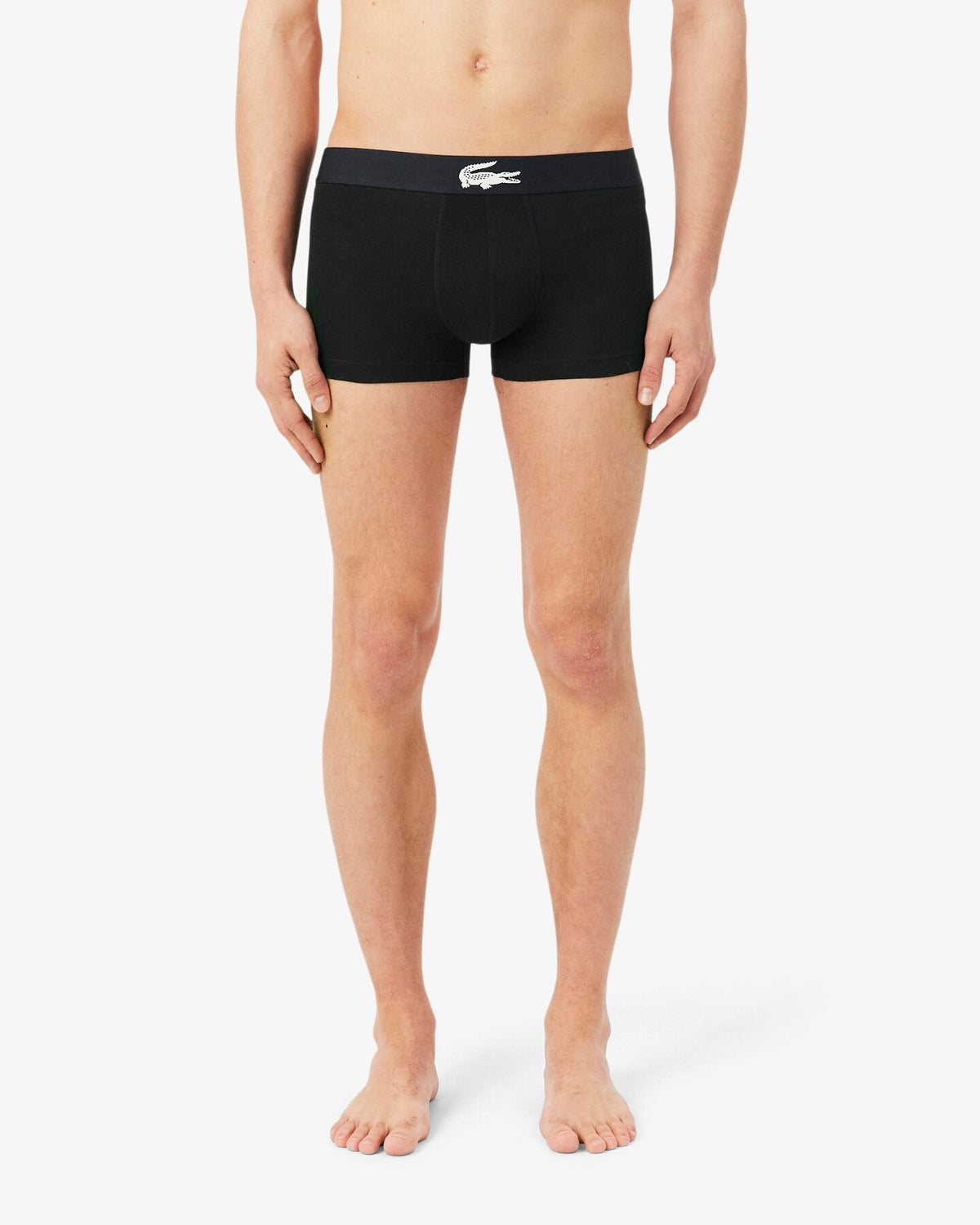  5H5441 031 Lacoste 
