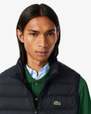  BH8693 031 Lacoste 