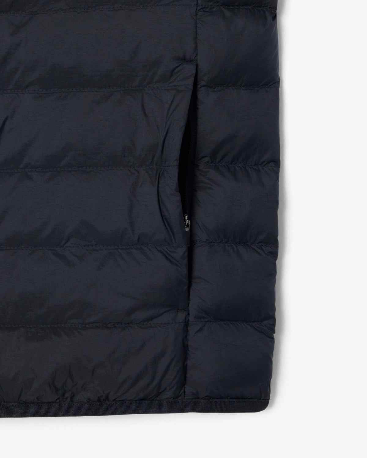  BH8693 031 Lacoste 