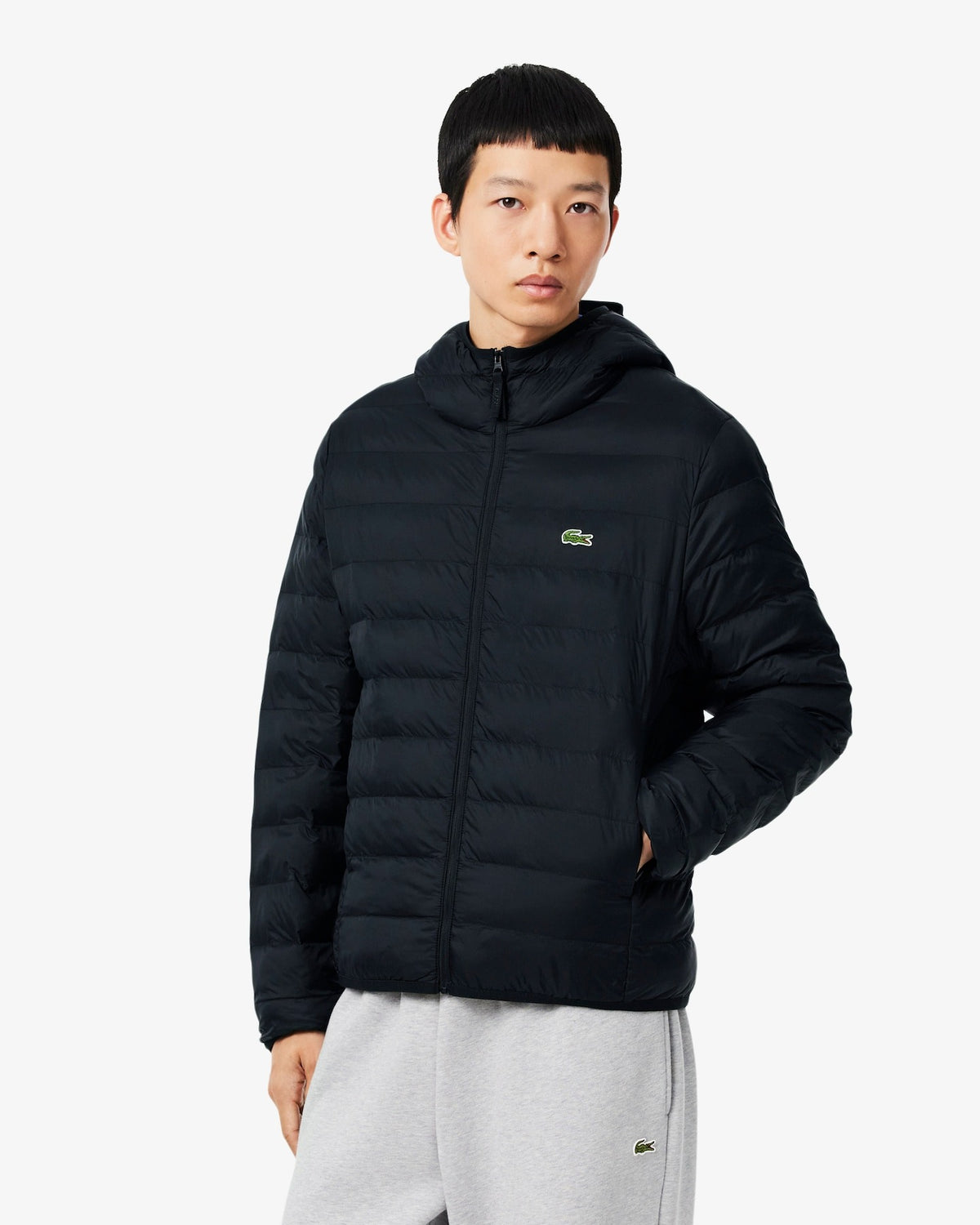  BH8714 031 Lacoste 