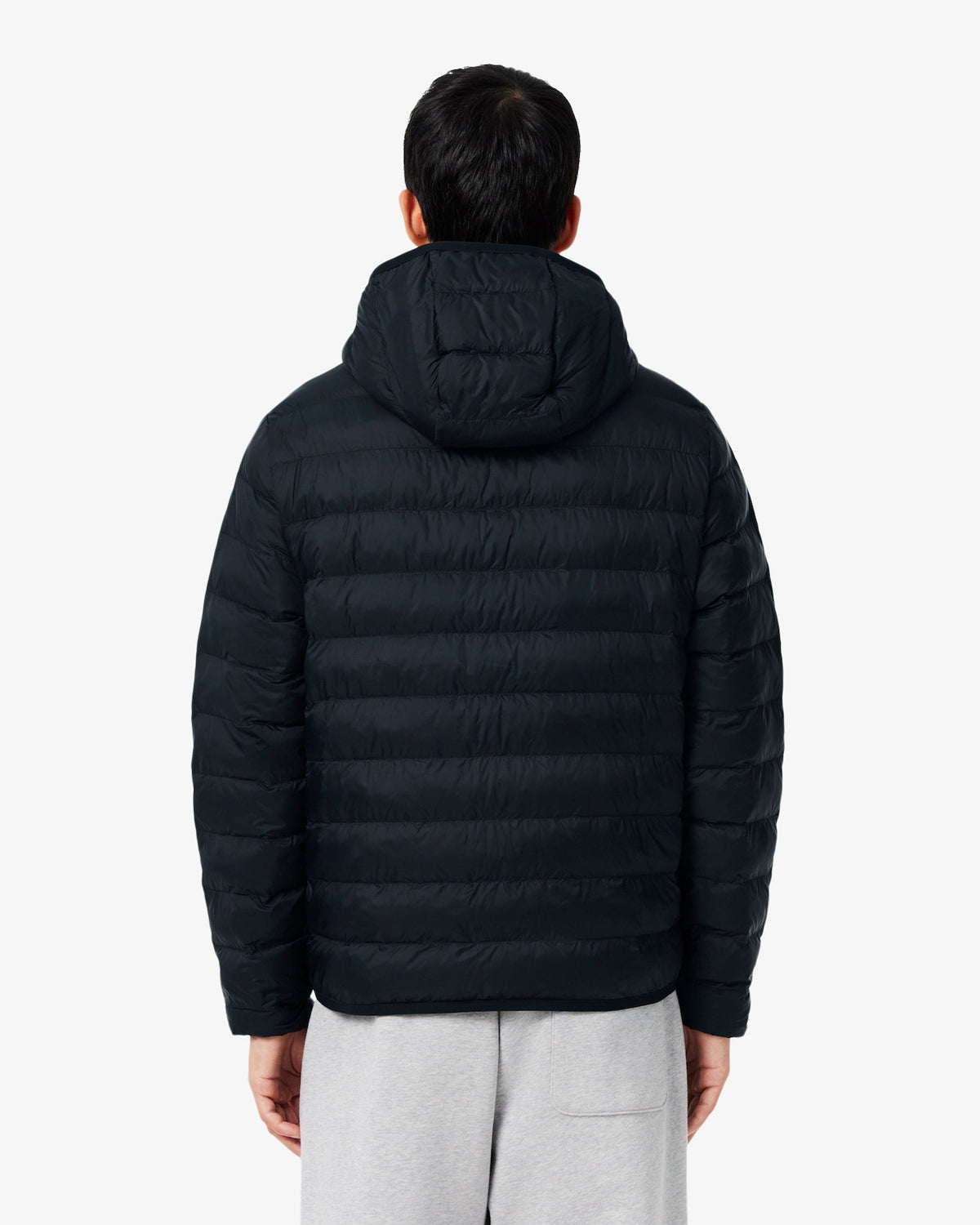  BH8714 031 Lacoste 