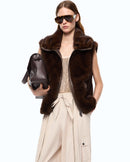  106939-A3C5 GLOSSINIA M11 Pinko 