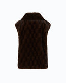  106939-A3C5 GLOSSINIA M11 Pinko 