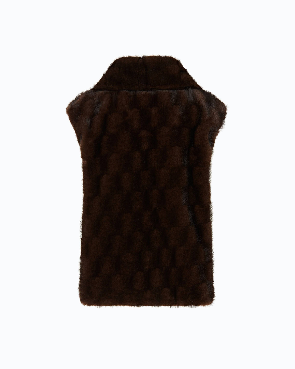  106939-A3C5 GLOSSINIA M11 Pinko 
