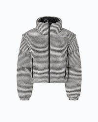  107185-A3G5 DABOECIA ZZ2 Pinko 
