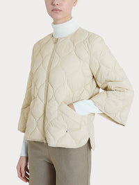  DP02KG 786 Ragno 