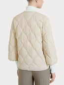  DP02KG 786 Ragno 