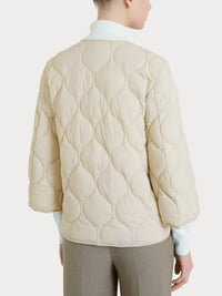  DP02KG 786 Ragno 