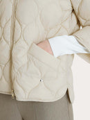  DP02KG 786 Ragno 